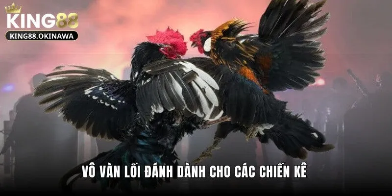 Vô vàn lối đánh dành cho các chiến kê
