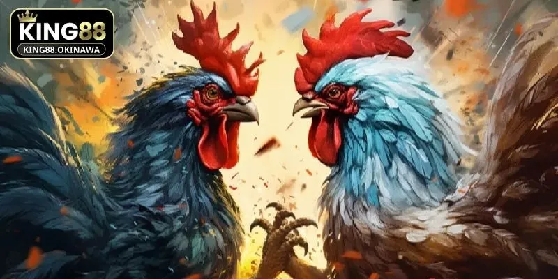 Giới thiệu sơ lược về đá gà nòi tại King88